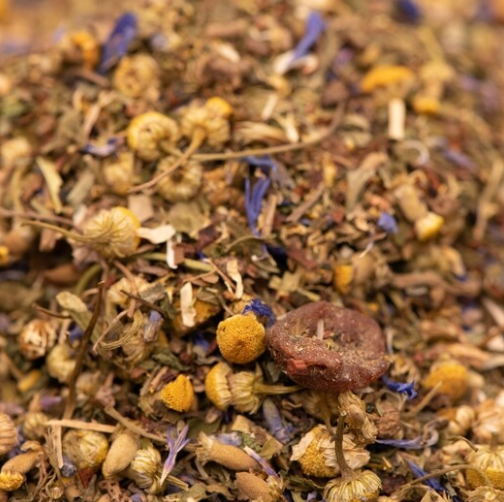 Egyptian Camomile